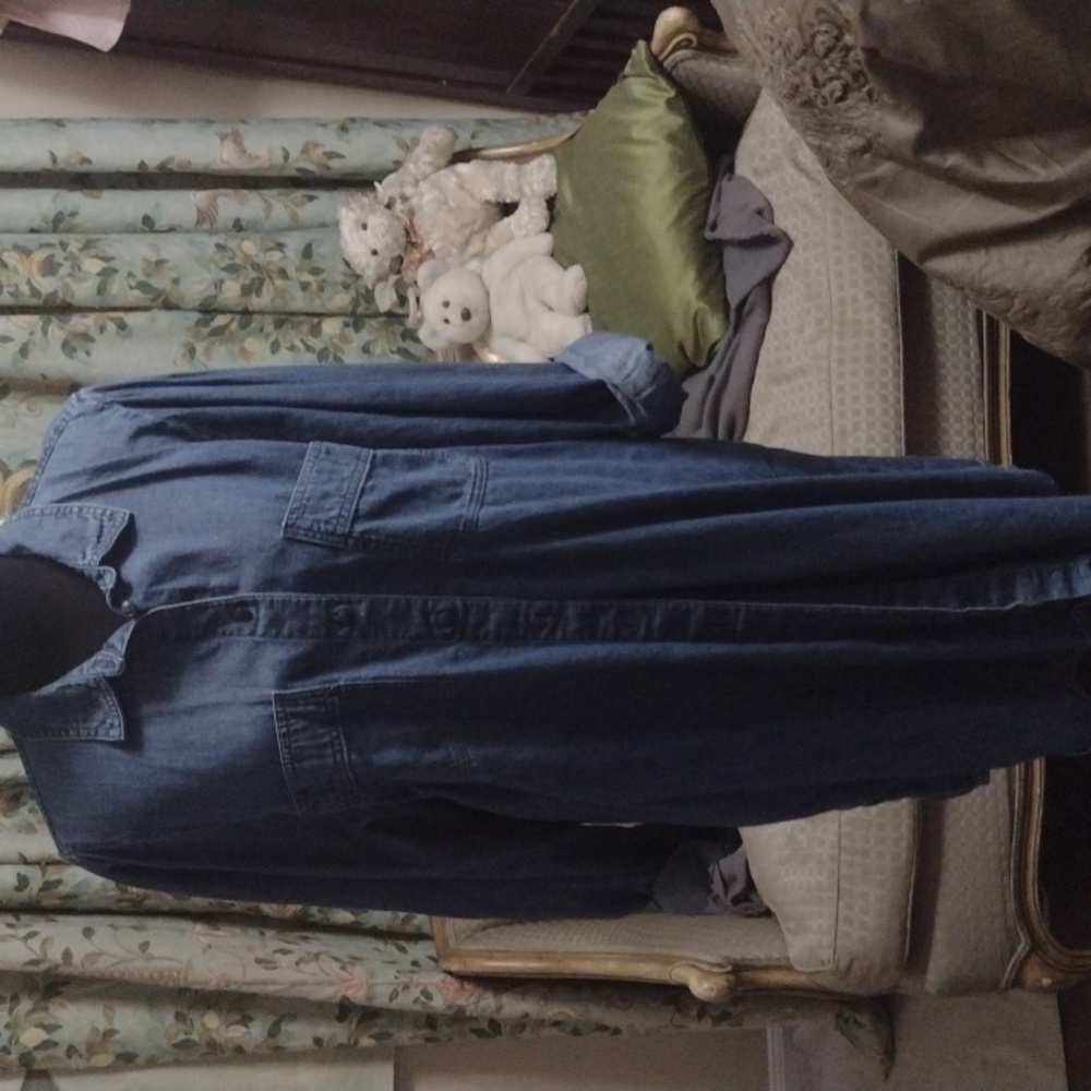 Denim dress by madewell